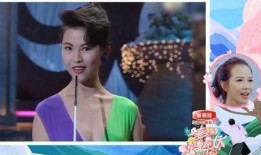 港姐系列爆料视频大全,揭秘港姐幕后故事与精彩瞬间