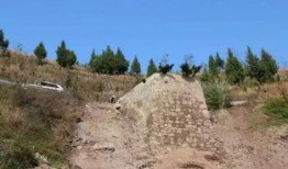 重庆奉节县爆料案件最新,案情细节及最新进展揭秘”